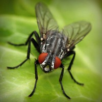 /album/linaphoder/photolia-a01-jpg/