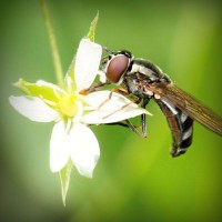 /album/linaphoder/photolia-a02-jpg/