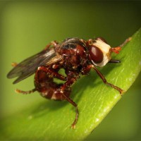 /album/linaphoder/photolia-a06-jpg/