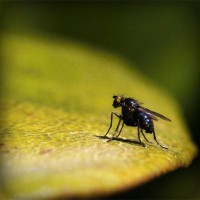 /album/linaphoder/photolia-a07-jpg/