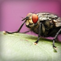 /album/linaphoder/photolia-a08-jpg/